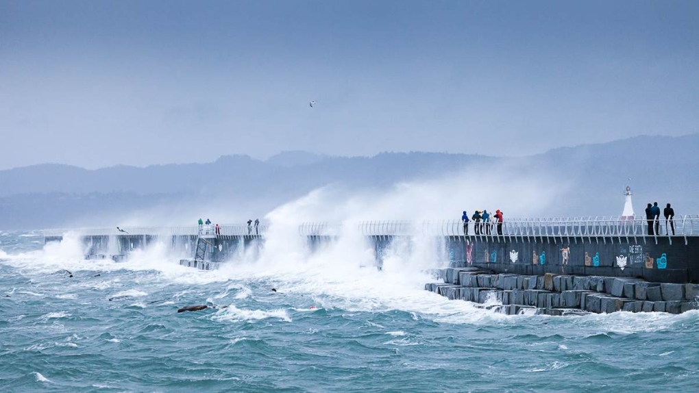 Nature photographer TJ Watt shot these incredible photos of storm-powered waves during a weekend windstorm at Ogden Point Breakwater and Clover Point on Saturday, Dec. 12, 2015. (TJWatt.com)