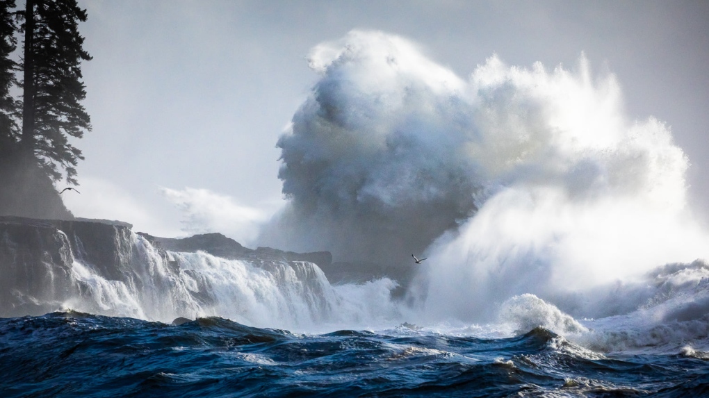 Large ocean waves crash against the west coast of Vancouver Island, near Port Renfrew, on Nov. 15, 2020. (TJ Watt Photography)