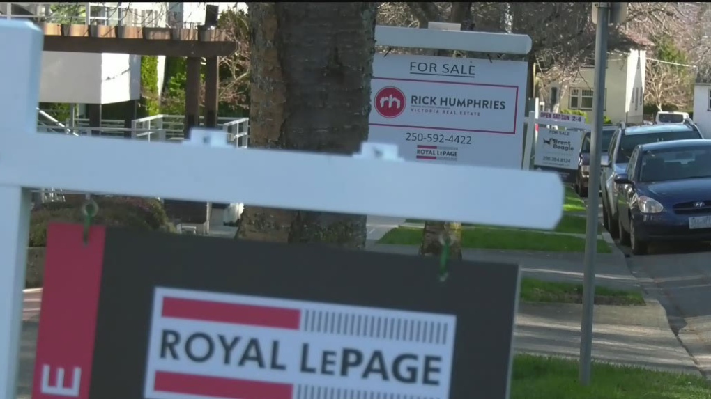 For sale signs are pictured in Victoria in this file photo. (CTV News)