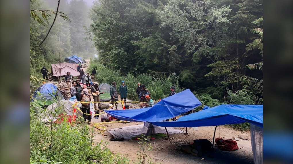 Protesters in the Fairy Creek watershed are seen in this photo provided by Lake Cowichan RCMP.