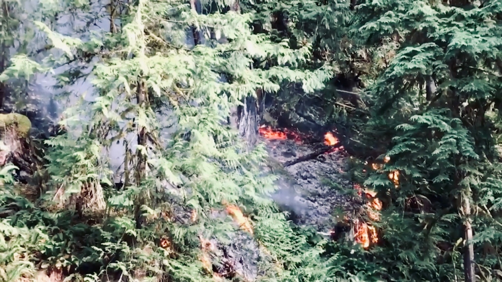All six fires were reported between 2 p.m. and 5:30 p.m. Sunday: (Port Alberni Fire Department)