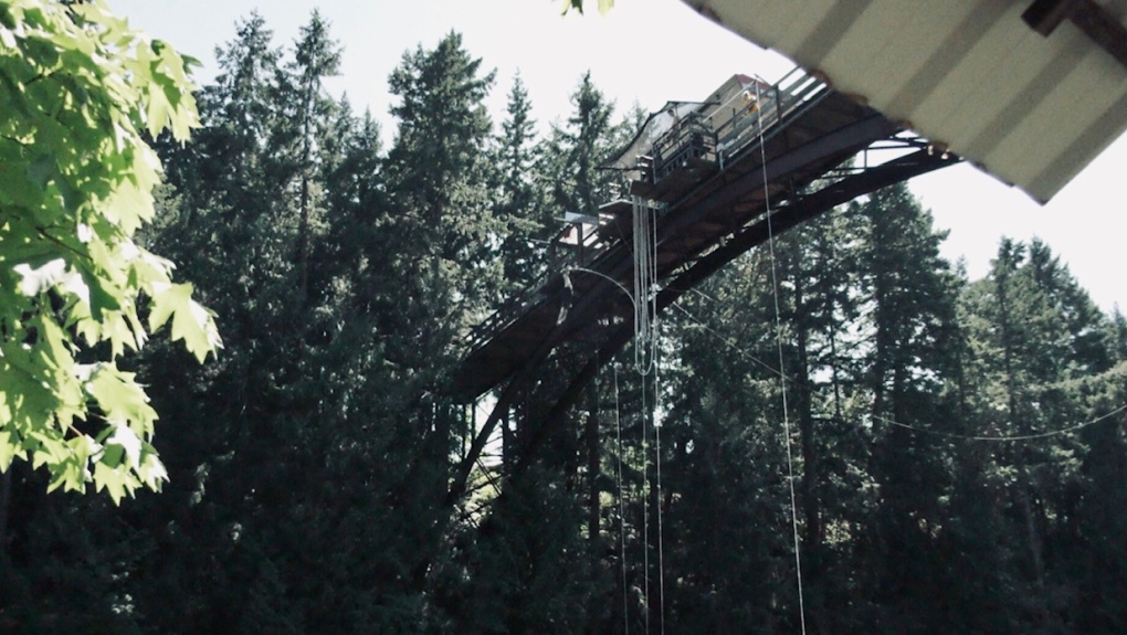 Wildplay's bungee jumping bridge overlooking the Nanaimo River is shown: (CTV News)