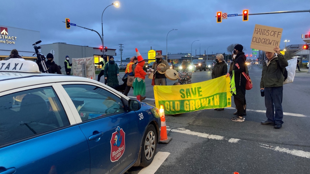 About 20 activists with the group "Save Old Growth" began demonstrating at the intersection of Douglas Street and Tolmie Avenue at 7:30 a.m. (CTV News)
