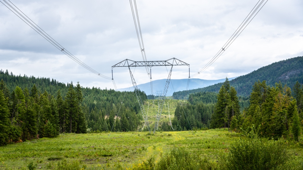 A powerline is pictured in British Columbia: (iStock)