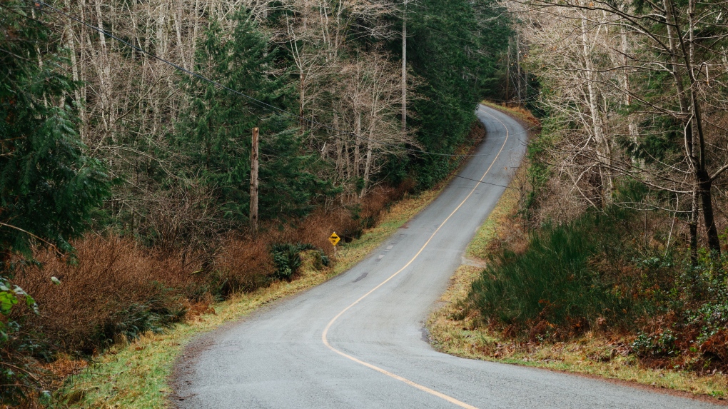 A road on Cortes Island, B.C., is pictured. (iStock)