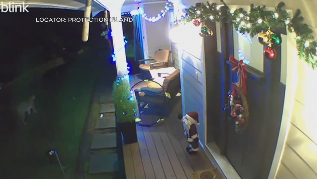 Video menunjukkan tante girang menyelinap melewati rumah BC