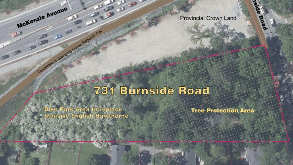 The 1.8-acre parcel of land is pictured. (District of Saanich)