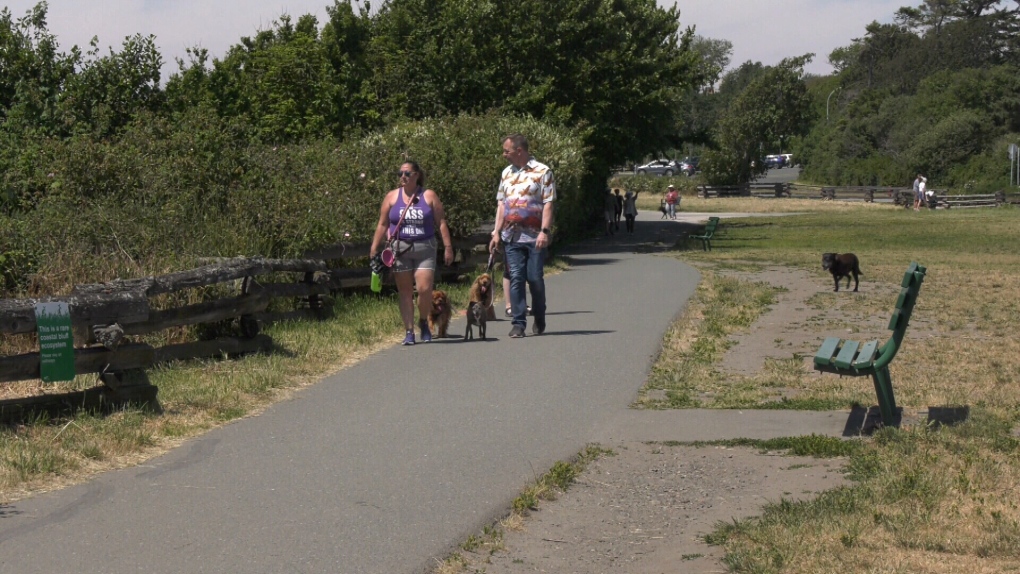 People walk their dogs along Dallas Road in Victoria. (CTV News)