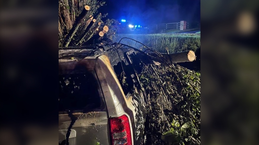 Nanaimo Volunteer Firefighter Rescues Woman From Fiery Crash | CTV News