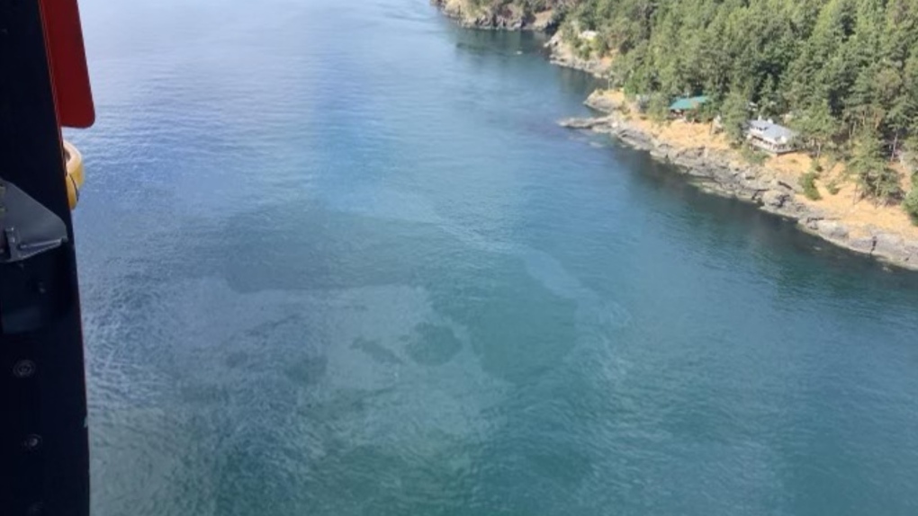 The U.S. Coast Guard and other American agencies are responding to a sunken vessel leaking fuel in Haro Strait, between Vancouver Island and San Juan Island. (Twitter/@USCGPacificNW)
