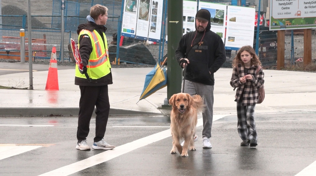 Matt Bateman and his daughter cross Watkiss Road in View Royal with the help of an Eagle View crossing guard. (CTV)