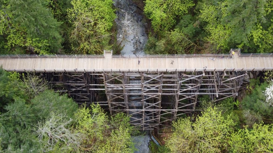 The bridge is located southeast of Lake Cowichan, just west of Glenora Trails Head Park. (B.C. Ministry of Transportation and Infrastructure)