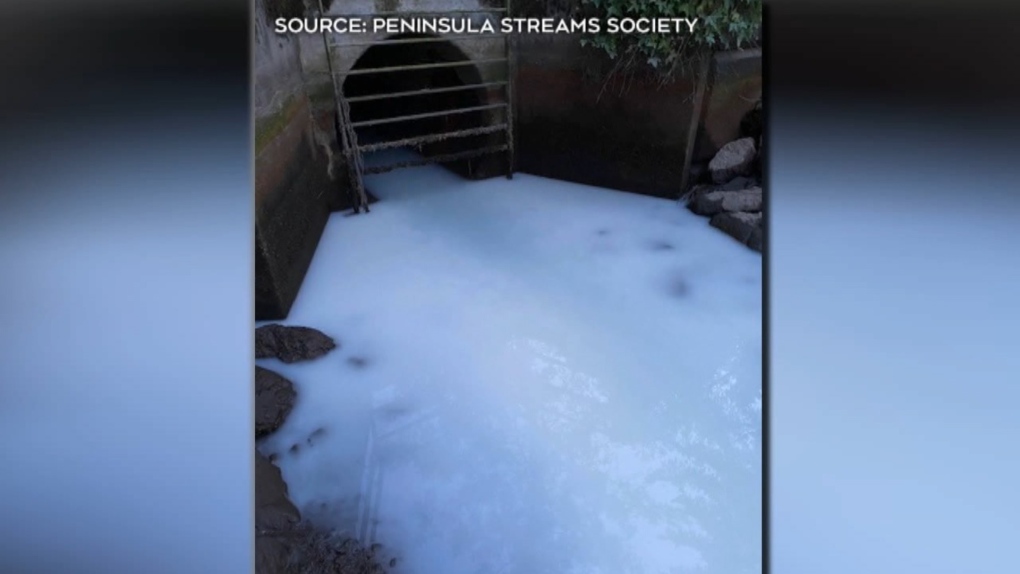 Paint runoff in Mermaid Creek is seen in this photo from the Peninsula Streams Society.