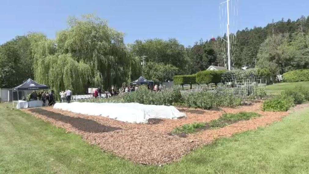 The donated money will go towards expanding existing garden space, as well as to establish more garden space, including an Indigenous medicine garden and polyculture orchard. (CTV News)