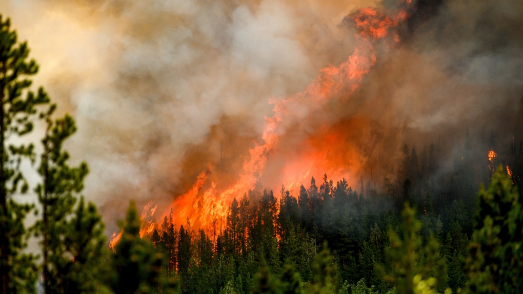 B.C. residents advised to keep 'go bags' ready as wildfire season gets  underway