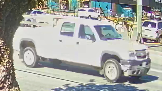 Investigators are looking for a white Chevrolet three-quarter-ton or one-ton pickup from the years 2003 to 2006. The truck is a four-door crew cab with a long box and wooden stake sides. (RCMP)