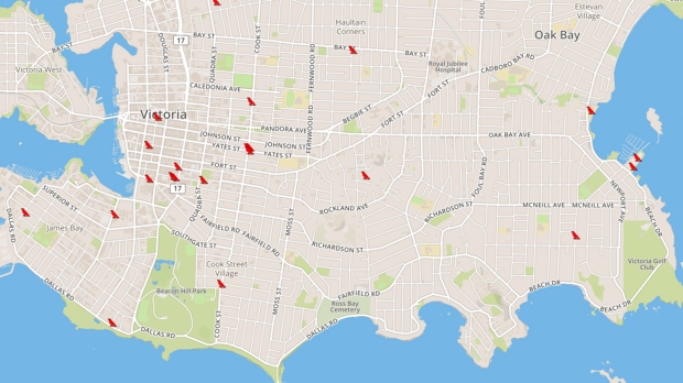 Look out below: Protective crows ramp up attacks in Victoria | CTV News