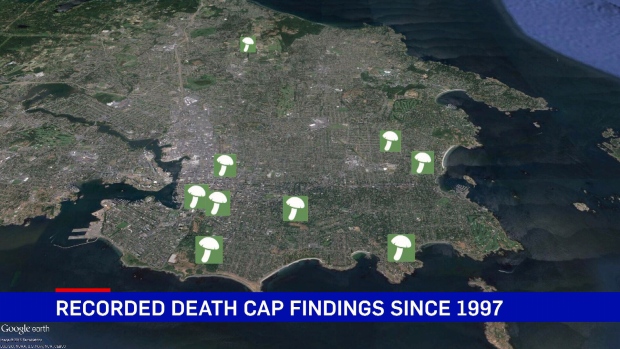 death cap mushroom map