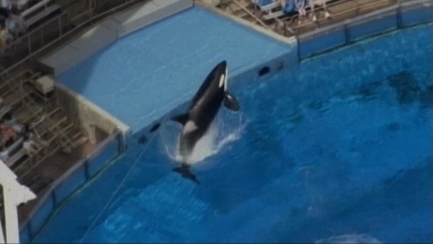 Tilikum