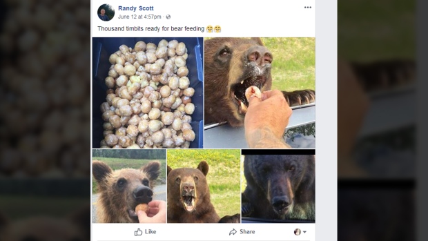 randy scott bears timbits