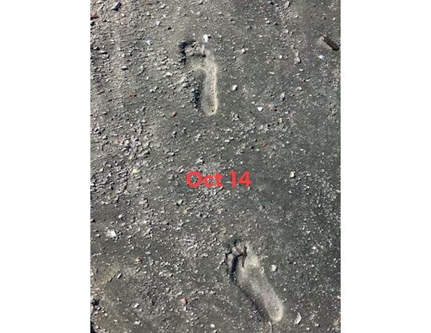 travis thomas foot prints