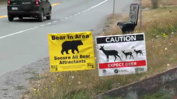 Bear sooke signs