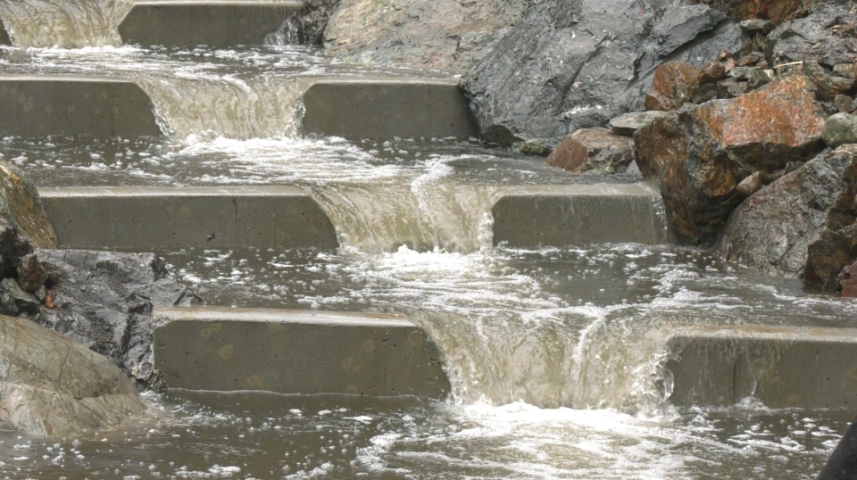 salmon millstream creek fishway
